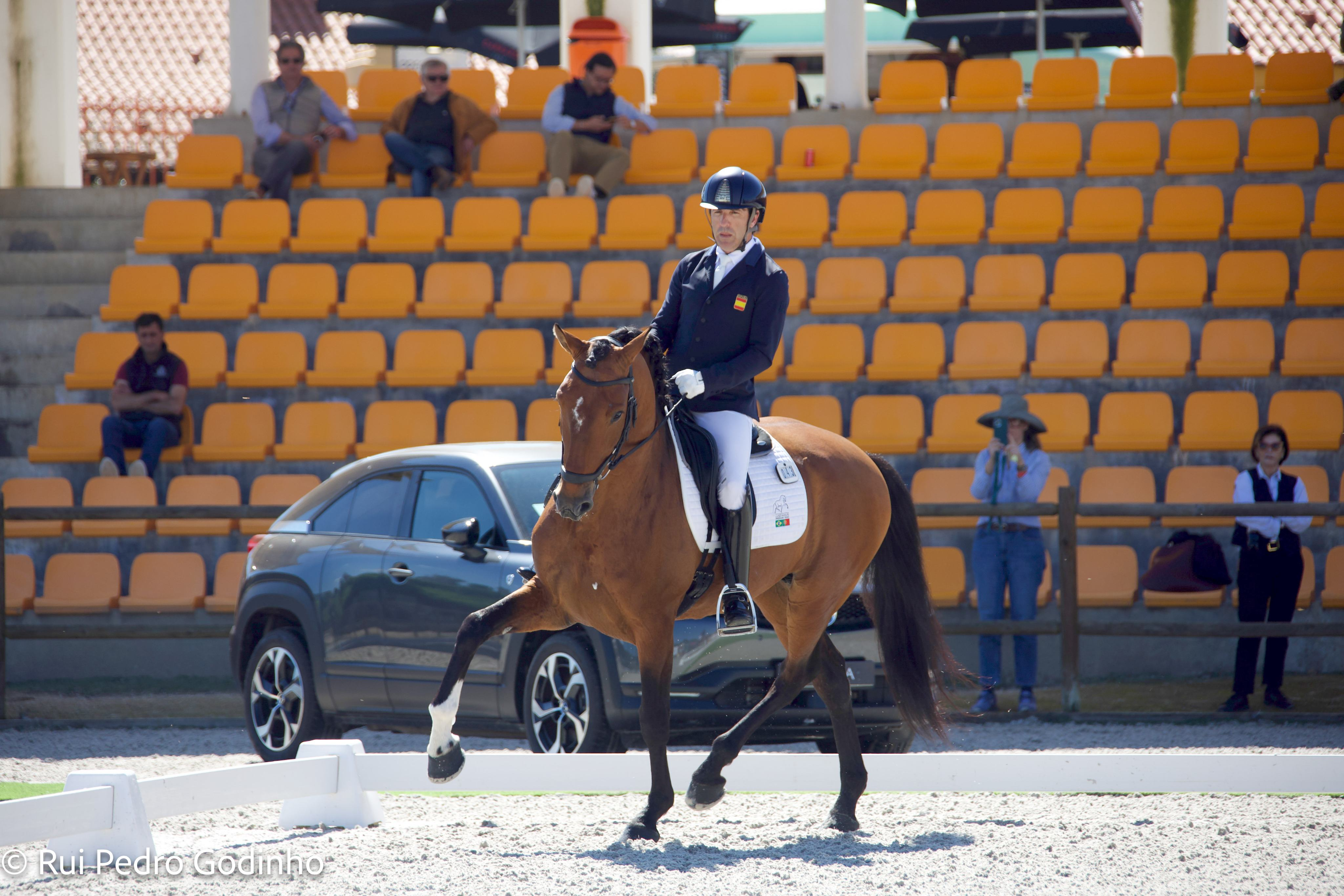 Lusitanus Working Equitation